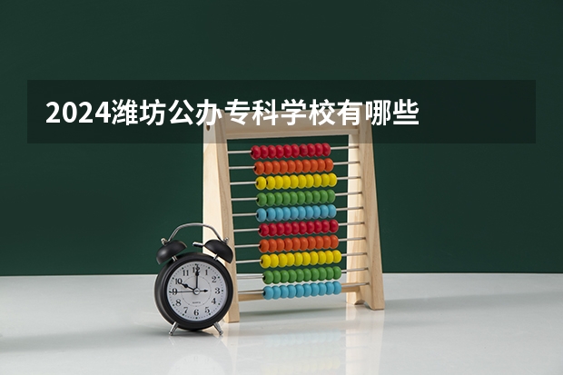 2024潍坊公办专科学校有哪些
