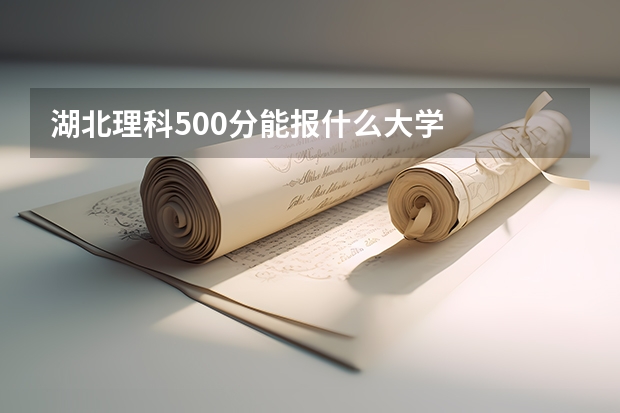 湖北理科500分能报什么大学