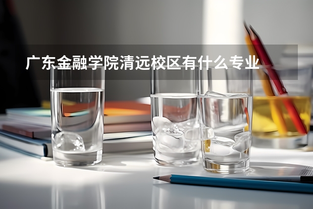 广东金融学院清远校区有什么专业