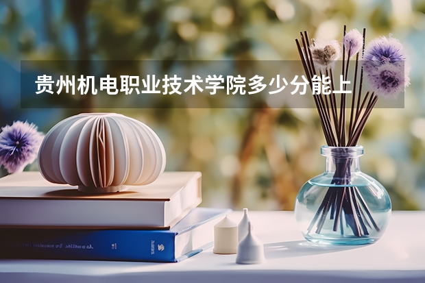 贵州机电职业技术学院多少分能上