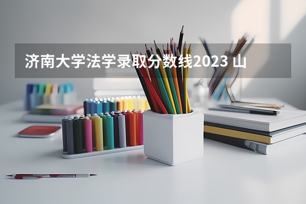济南大学法学录取分数线2023 山东职业学院是本科还是专科