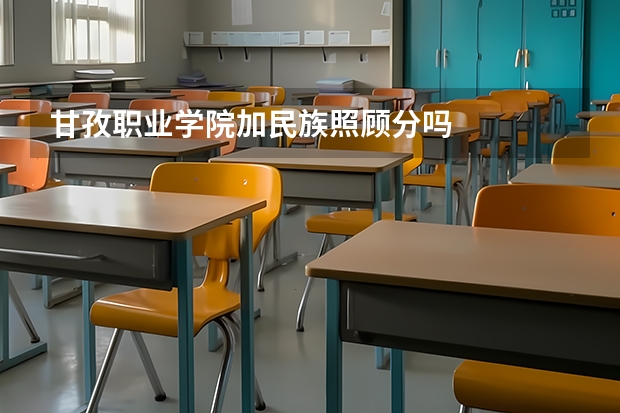 甘孜职业学院加民族照顾分吗