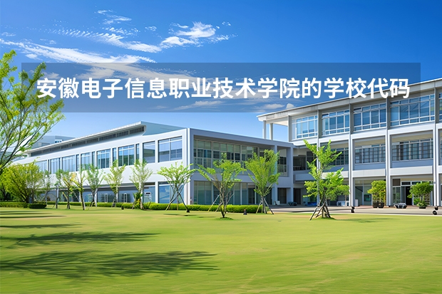 安徽电子信息职业技术学院的学校代码是什么