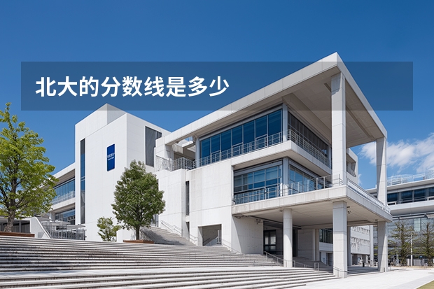 北大的分数线是多少