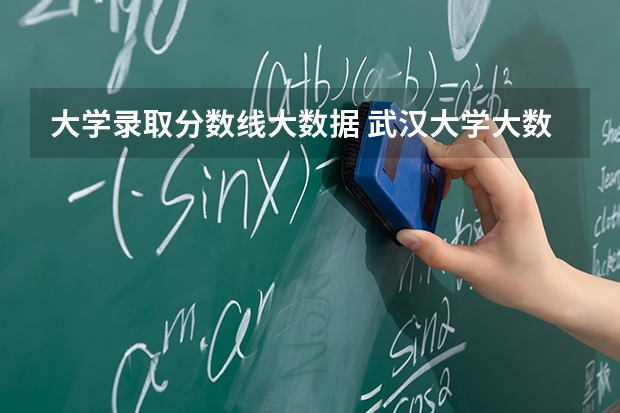 大学录取分数线大数据 武汉大学大数据管理与应用分数线