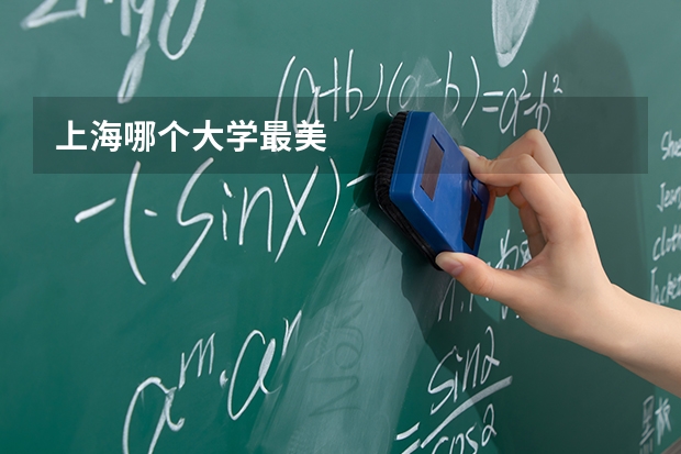 上海哪个大学最美