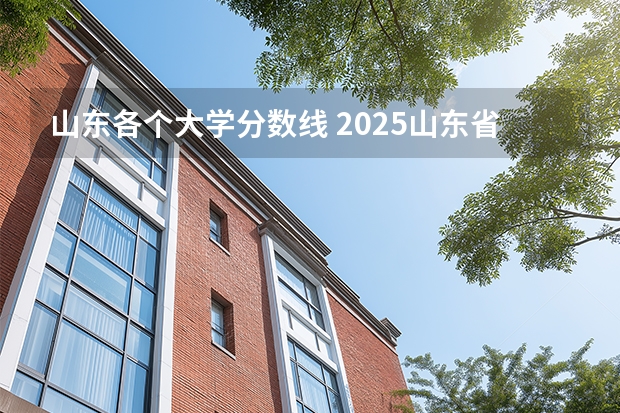 山东各个大学分数线 2025山东省各大学录取分数线