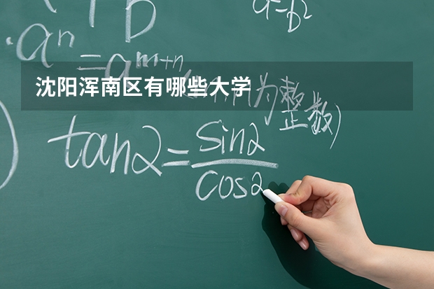 沈阳浑南区有哪些大学