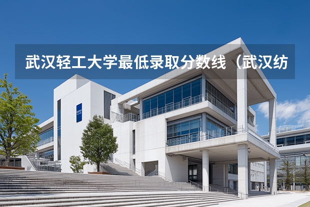 武汉轻工大学最低录取分数线（武汉纺织大学分数线）