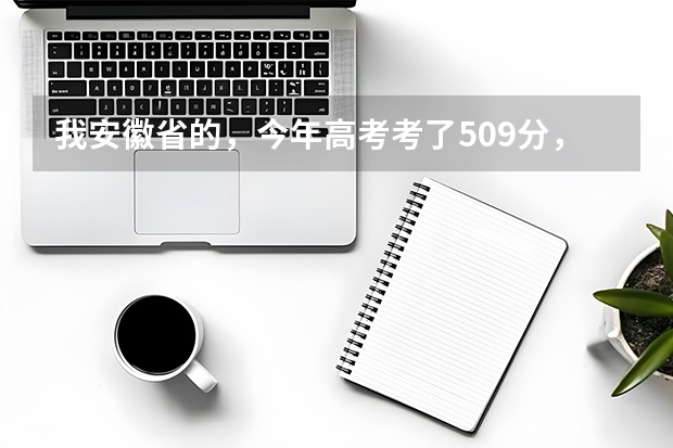 我安徽省的，今年高考考了509分，我是文科生，比二本线高8分，请问我能在安徽省内上哪些比较好的学校？