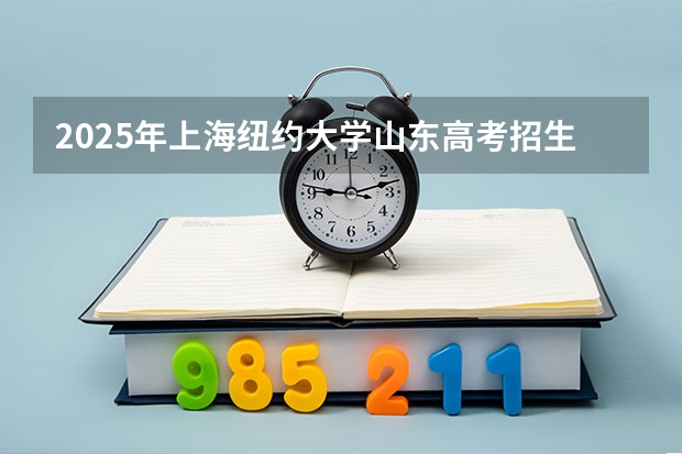 2025年上海纽约大学山东高考招生计划（2026参考）