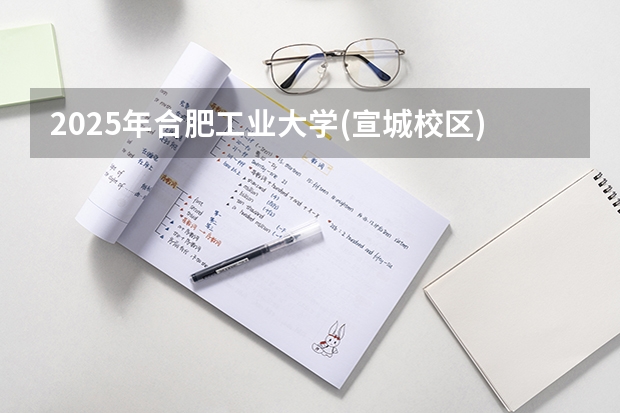 2025年合肥工业大学(宣城校区)江苏高考招生计划（2026参考）