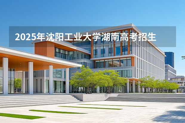 2025年沈阳工业大学湖南高考招生计划（2026参考）