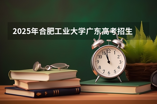 2025年合肥工业大学广东高考招生计划（2026参考）