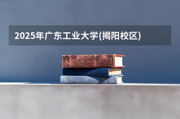 2025年广东工业大学(揭阳校区)广东高考招生计划（2026参考）