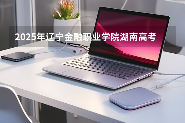 2025年辽宁金融职业学院湖南高考招生计划（2026参考）