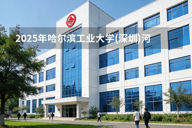 2025年哈尔滨工业大学(深圳)河北高考招生计划（2026参考）