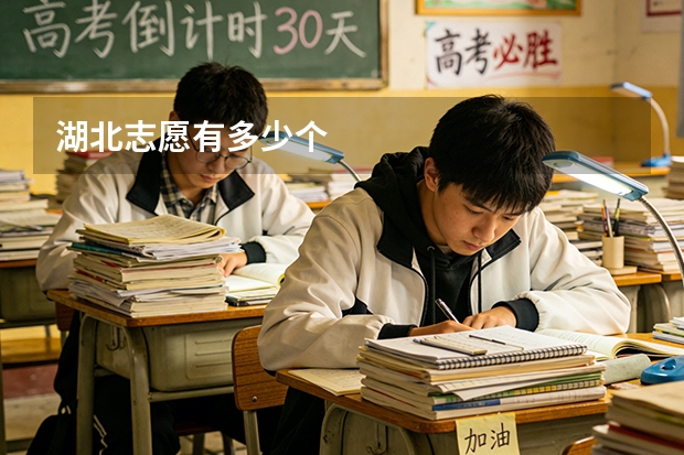 湖北志愿有多少个