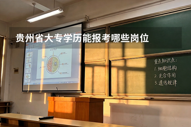 贵州省大专学历能报考哪些岗位