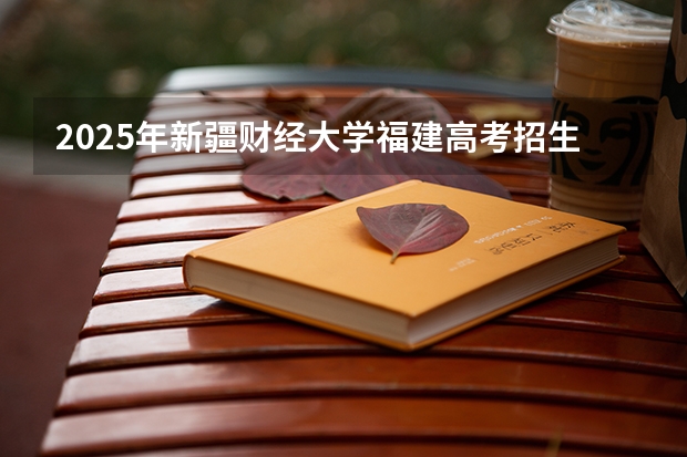 2025年新疆财经大学福建高考招生计划人数汇总（2026参考）