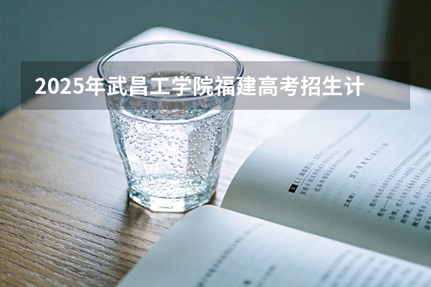 2025年武昌工学院福建高考招生计划人数汇总（2026参考）